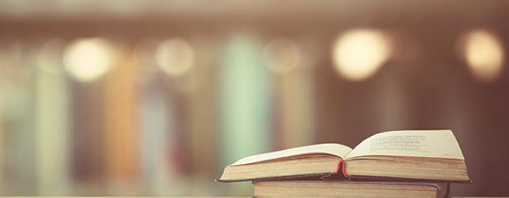 Meet the Author