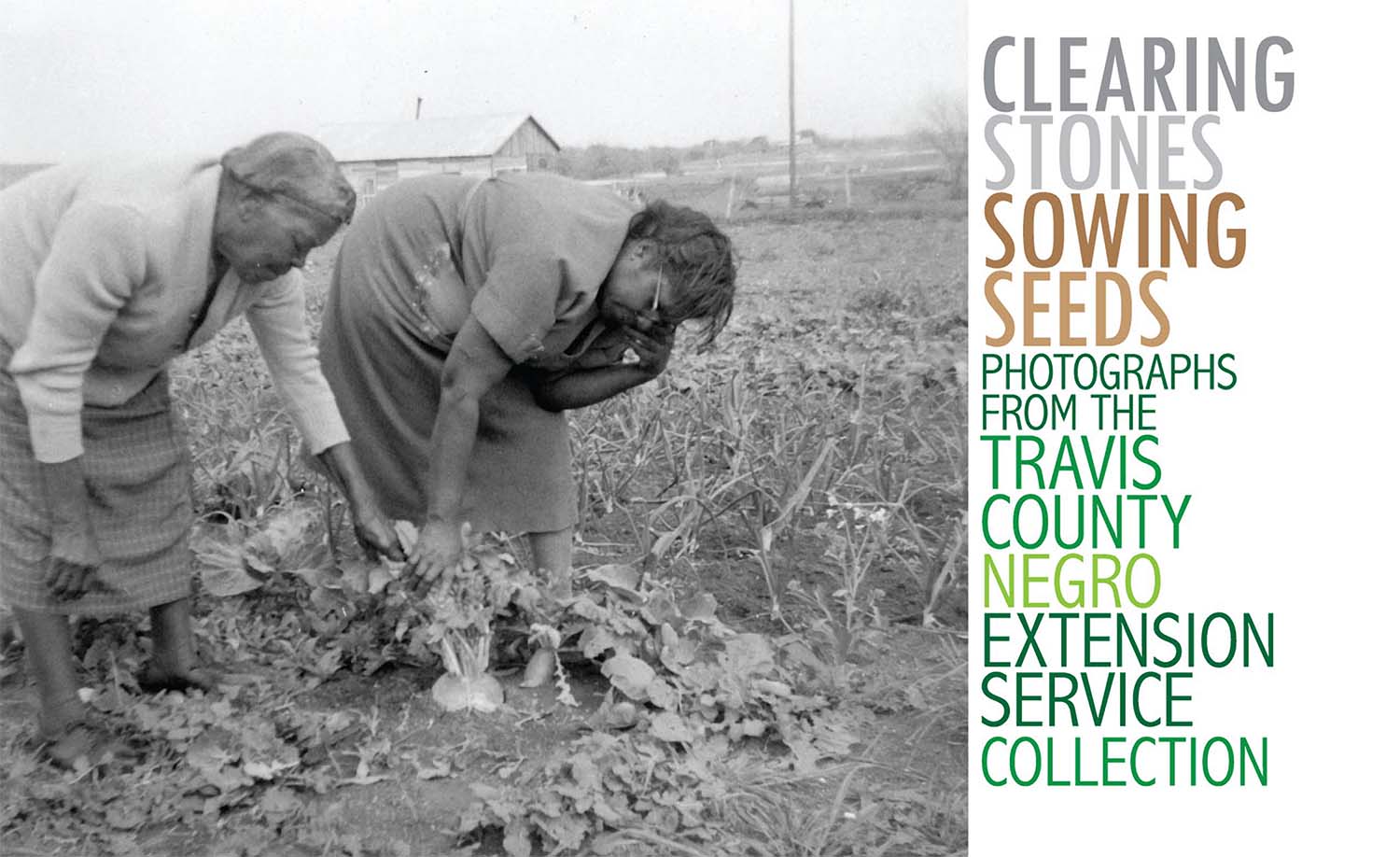Two Black women pulling a vegetable with text Clearing Stones Sowing Seeds: Photographs from the Travis County Negro Extension Service Collection