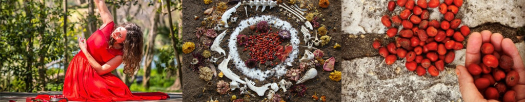 Collage of woman in red dress, red seeds on the ground in a white circle, hand holding red seeds