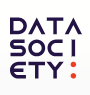 Data Society logo