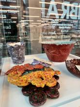 colorful clay sculptures and plateware inside a glass display case