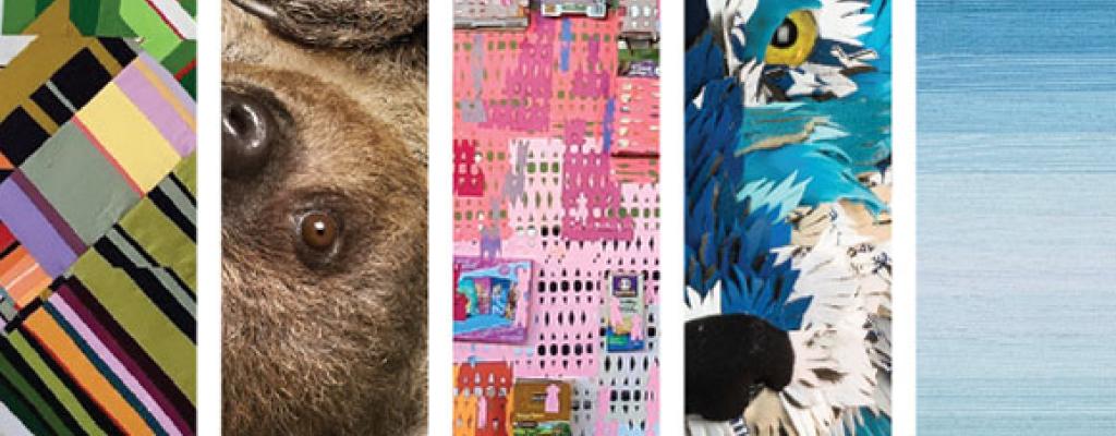 Examples of previous artists shown left to right: Irene Roderick, Randal Ford, Akirash, Calder Kamin, Maria Fernanda Borrero
