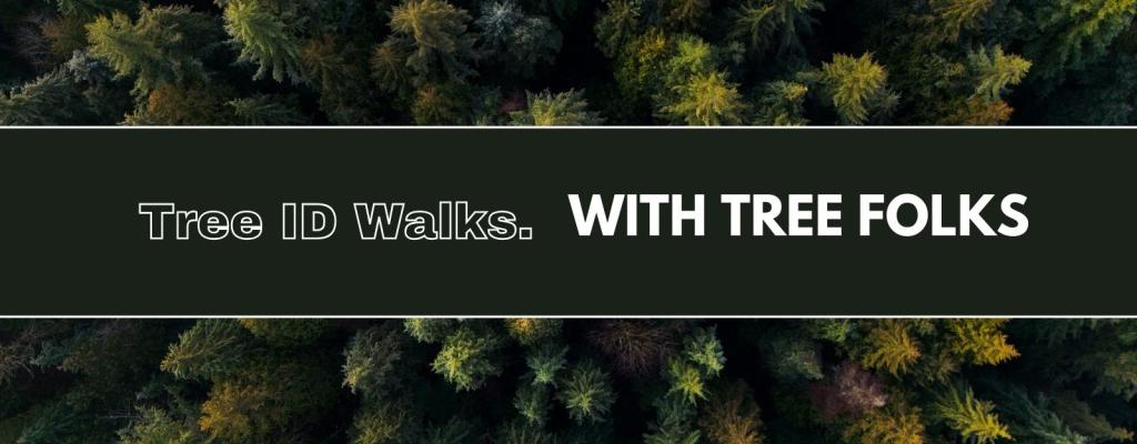 tree folks