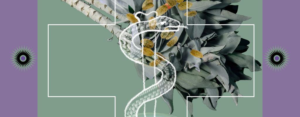 Graphics art depciting the plant white sage with gold, lavender, and white abstract design elements