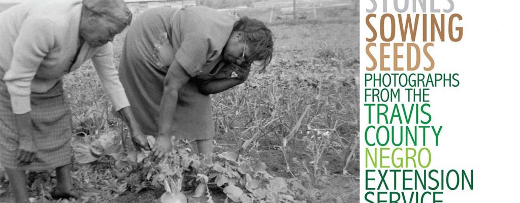 Two Black women pulling a vegetable with text Clearing Stones Sowing Seeds: Photographs from the Travis County Negro Extension Service Collection