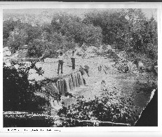 Bull Creek
