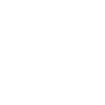 Accessibility Icon