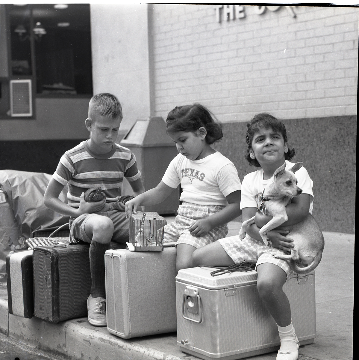 Image: AS-61-33161-1, Austin American Statesman Photo Morgue. 